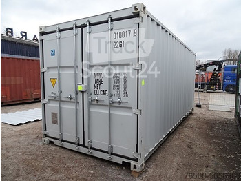 货运集装箱 20`DV Seecontainer neuwertig RAL7035 Lichtgrau：图2