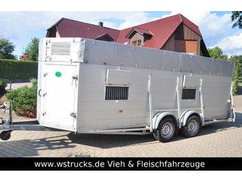 Blomert Einstock Vollalu 5,70 m  - 牲畜运输拖车