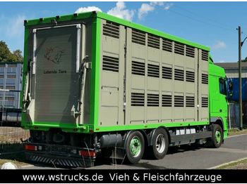 牲畜运输车 DAF  XF 105/460 SC Menke 3 Stock Hubdach：图1