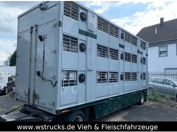 Finkl 3 Stock   Vollalu  - 牲畜运输拖车