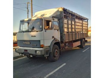 IVECO 175.24 Turbo left hand drive 19 ton Manual Telma Cattle - 牲畜运输车