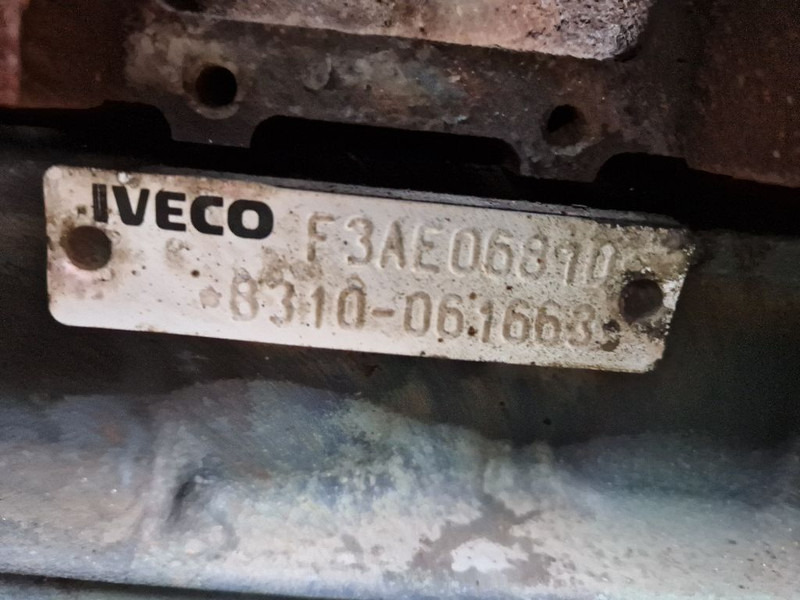 发动机 Iveco F3AE0681D EUROSTAR (CURSOR 10)：图8