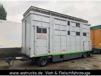 KABA 3 Stock  Hubdach Vollalu 7,30m  - 牲畜运输拖车
