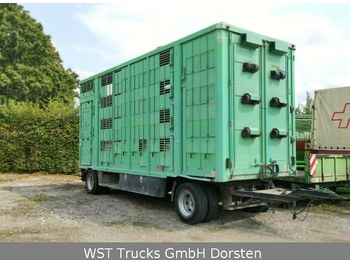 KABA 4 Stock  Vollalu 7,30m  - 牲畜运输拖车