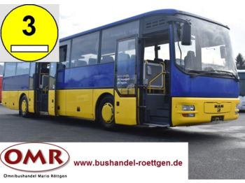 MAN A 01/550/315/Ul/Gt/Schaltgetriebe/66 Sitze  - 郊区巴士