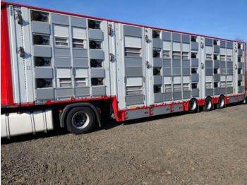 PEZZAIOLI SBA32U - 牲畜运输半拖车