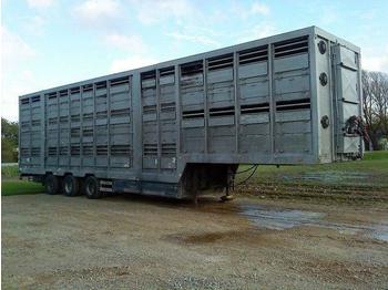 Pezzaioli 3 stock. schweine auflieger  - 牲畜运输半拖车
