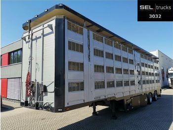 Pezzaioli Menke-Janzen / 4 Stock / Hudbach / Lenkachse  - 牲畜运输半拖车