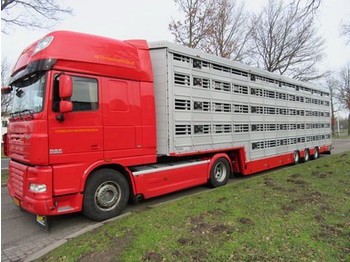 Pezzaioli SBA** - 牲畜运输半拖车