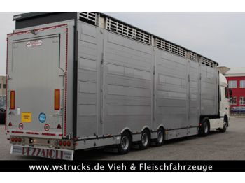 Pezzaioli SBA31-SR  3 Stock "Neu" Vermietung  - 牲畜运输半拖车