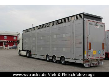 Pezzaioli SBA31-SR  3 Stock  Vermietung  - 牲畜运输半拖车