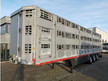 Pezzaioli SBA63U / 3 Stock / Hubdach / BPW  - 牲畜运输半拖车