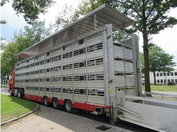 Pezzaioli SBA 31 G - 牲畜运输半拖车
