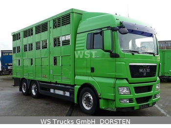 牲畜运输车 MAN TGX 26.480