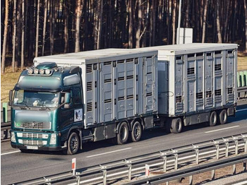 牲畜运输车 Volvo FH 12 Animal transporter：图2