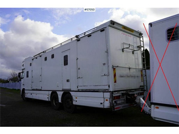 马匹运输车 Volvo FH 400 6*2 Horse transport with room for 9 horses：图3