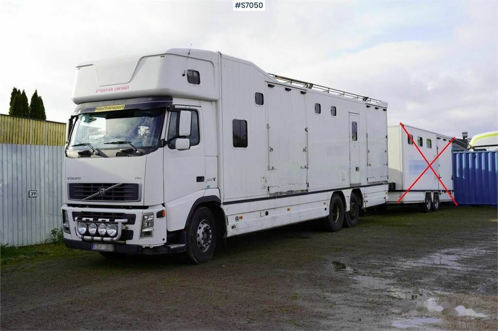 马匹运输车 Volvo FH 400 6*2 Horse transport with room for 9 horses：图2