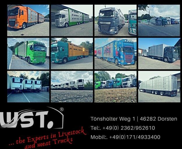 新的 自动转运拖车 WST Edition Spezial Überlänge 8,5 m：图10