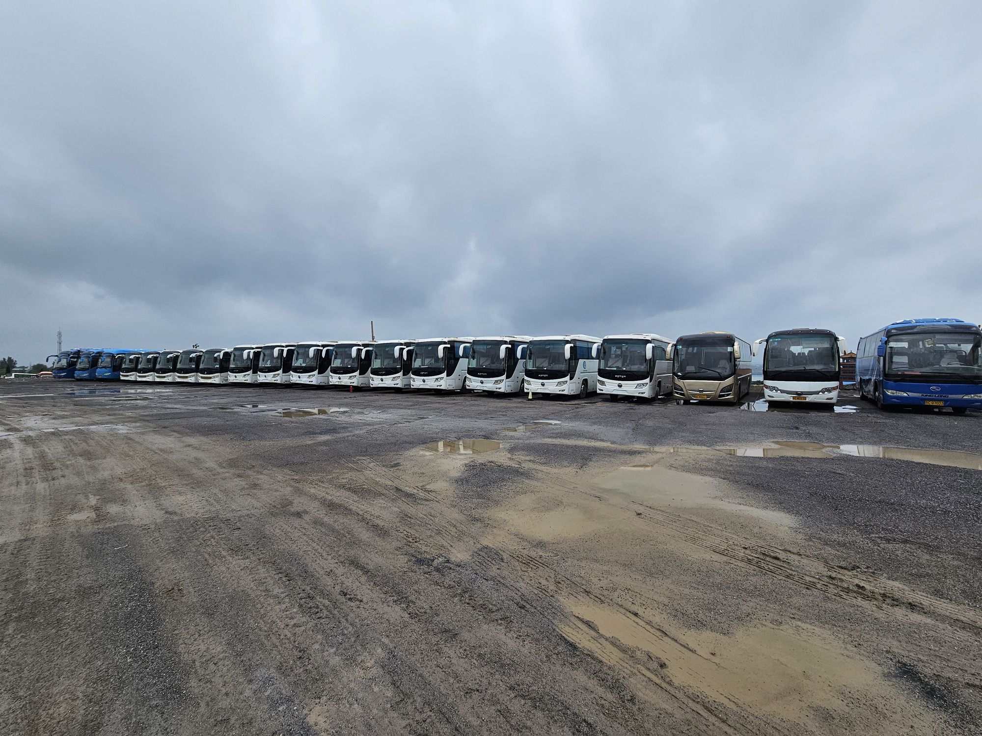 Qingdao Higher Weight Trade Co. LTD undefined:图5