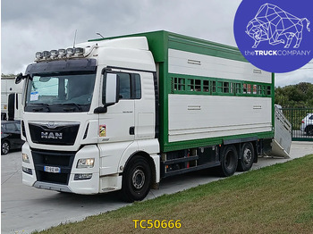牲畜运输车 MAN TGX