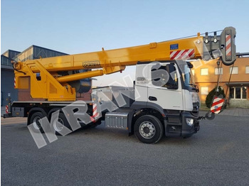 新的 移动式起重机 Locatelli TCL 40.35：图2