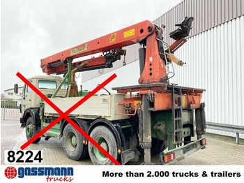 : 标题部分照片