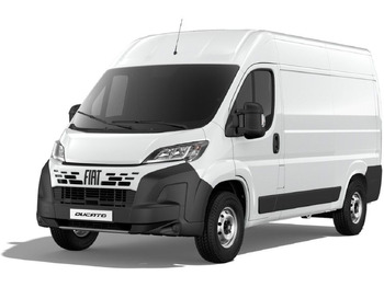 无侧窗厢式货车 FIAT Ducato