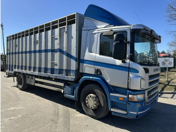 牲畜运输车 SCANIA P 310