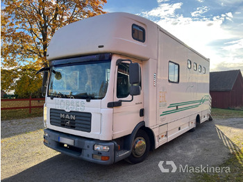 马匹运输车 MAN TGL 10.210