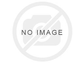 发动机及其零件 LIEBHERR