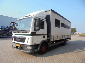厢式卡车 MAN TGL 10.180