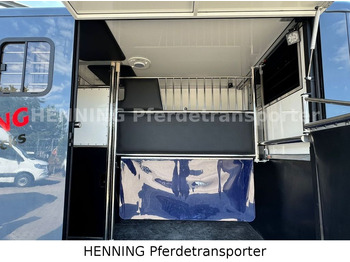 马匹运输车 Opel Movano 3 - Sitzer *AUFBAU NEU* Opel Movano 3 - Sitzer *AUFBAU NEU*:图4 马匹运输车 Opel Movano 3 - Sitzer *AUFBAU NEU* Opel Movano 3 - Sitzer *AUFBAU NEU*:图4