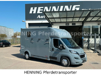 马匹运输车 PEUGEOT