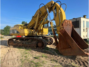 履带式挖掘机 CATERPILLAR 365