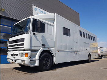 马匹运输车 DAF 95 350