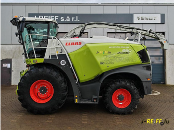 : 标题部分照片