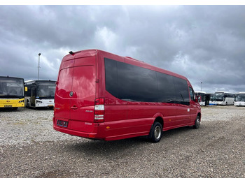 小型巴士, 小型客车 Mercedes-Benz Sprinter 516：图5