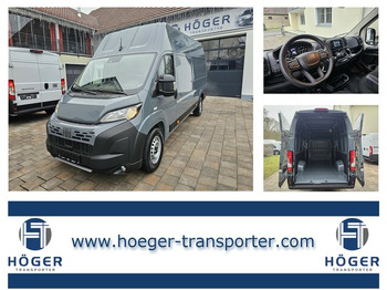 无侧窗厢式货车 FIAT Ducato Maxi