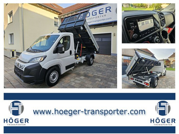 翻斗货车 FIAT Ducato Maxi