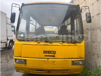 校車 IVECO