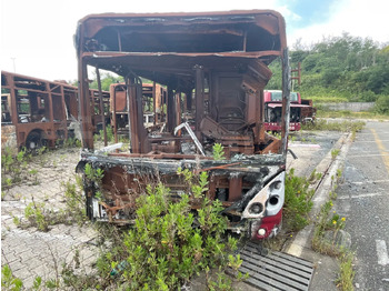城市巴士 IVECO