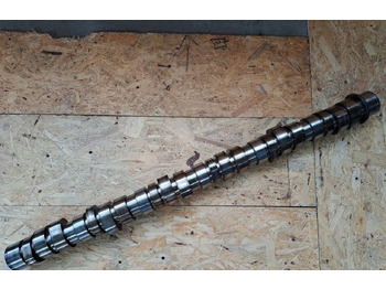 凸轮轴 RENAULT Magnum