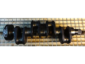 : 标题部分照片