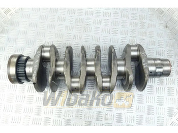 : 标题部分照片