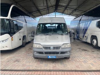 长途客车 Fiat Ducato Maxi：图2