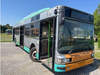 城市巴士 IRISBUS