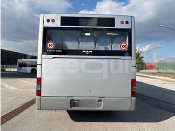 郊区巴士 Man Lion's Classic：图5