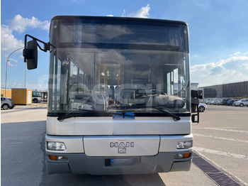 郊区巴士 Man Lion's Classic：图2