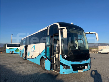 长途客车 MAN Lion's Coach