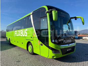 长途客车 MAN Lion's Coach